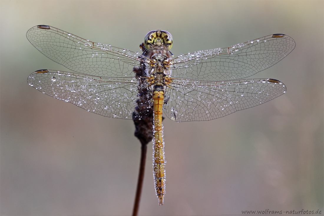 Unbenanntes_Panorama1