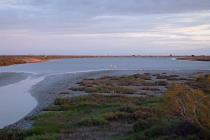 Camargue