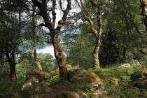 Norwegen