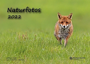 Link zur PDF Kalender 2022