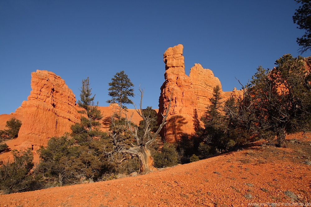 bryce_canyon